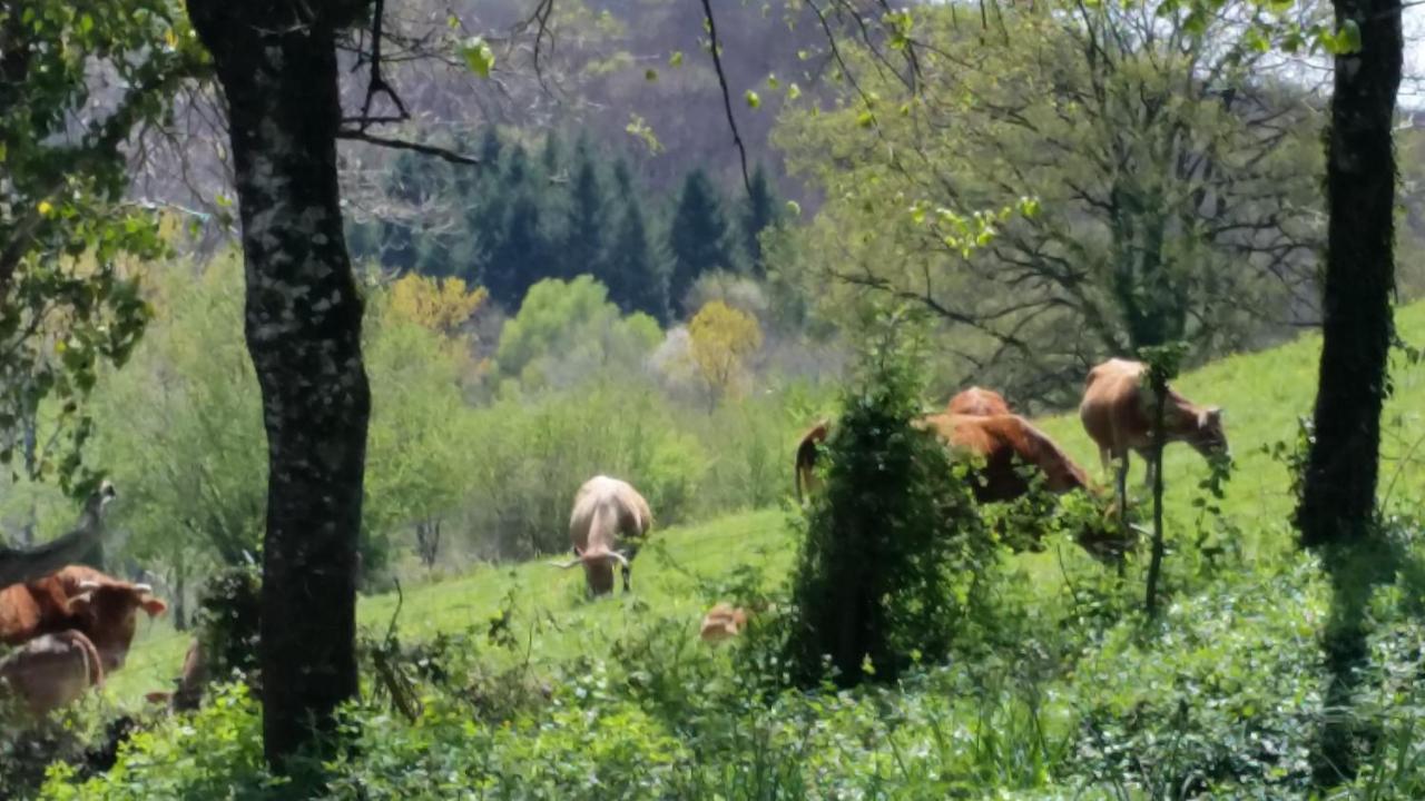 Combecave Bed and Breakfast Vabre-Tizac Buitenkant foto